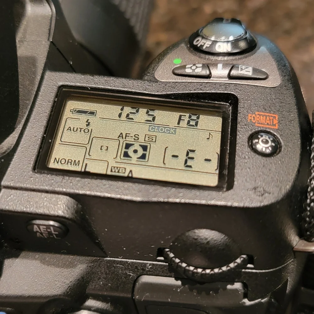NIKON D70 NIKKOR 55-200 DSLR Camera
